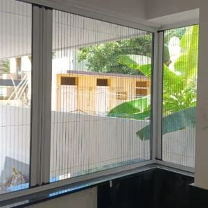 Pleated Window