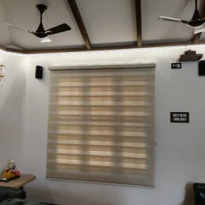 Zebra Blinds
